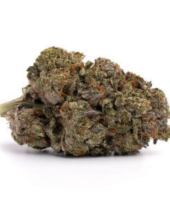 Darth Vader OG