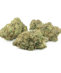 Death Bubba (Bulk)