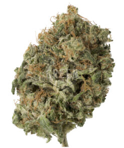 Diesel Dough by Archive Seed Bank