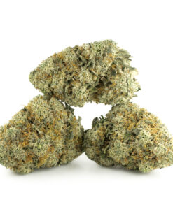 Donkey Butter by Exotic Genetix
