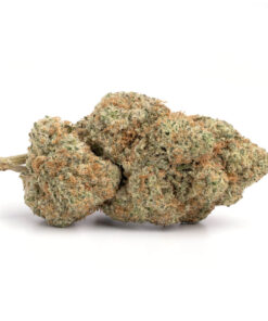 Dutch Treat
