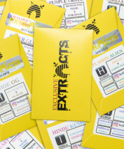 Exclusive Extracts Shatter