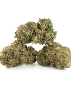 Fatso by Pluto Craft Cannabis