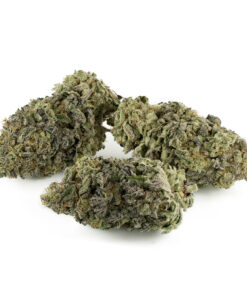 Fruit Gushers by Pluto Craft Cannabis — buy online, same-day weed delivery in Toronto | Tropic Exotic