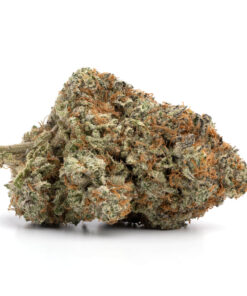 Fruit Punch