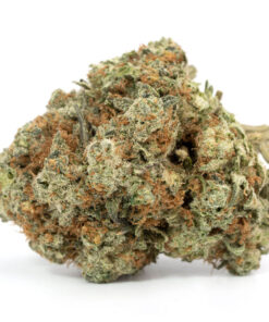 G13 Haze