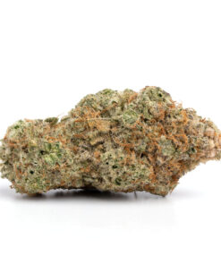 GMO Cookies