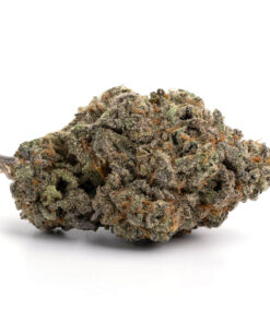 GSC 2 247x296 - Best Same-Day Weed Delivery in Edmonton