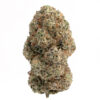Gummy Bears 100mg THC (Squish Extracts) Gummy Bears 100mg THC (Squish Extracts)