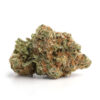AstroPink – New Lot AstroPink – New Lot