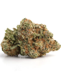 Gas Face – Indica