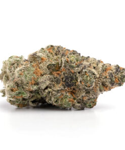 Gelato — buy online, same-day weed delivery in Toronto | Tropic Exotic