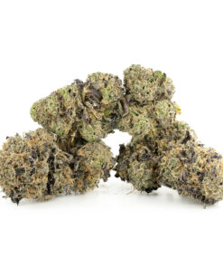 Gelato #33