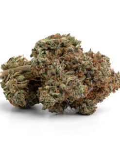 Ghost Train Haze