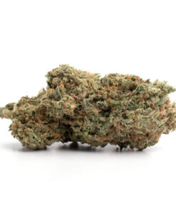 Alien OG – Indica