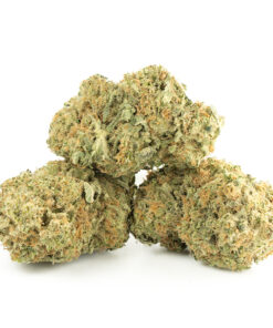 Girl Scout Cookies