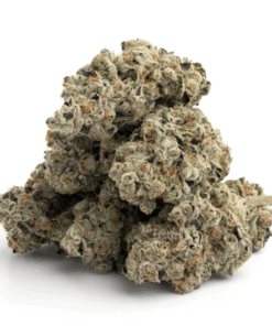 MKU – Indica