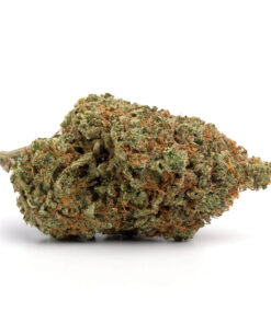God Bud