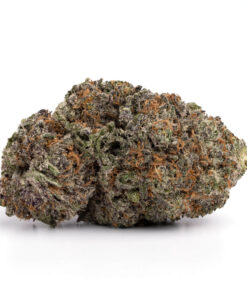 Gods Green Crack