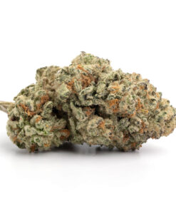 Golden Pineapple