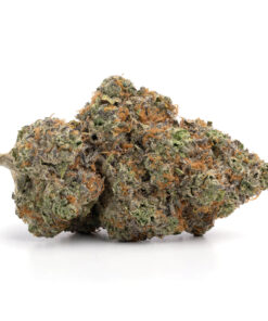Grand Daddy Purple