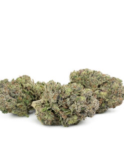 Granddaddy Purple