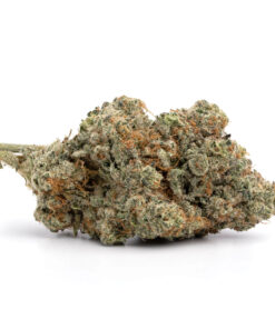 Grape Cake