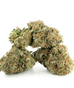 Greasy Death Bubba