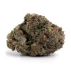 Greasy Pink — buy online, same-day weed delivery in Toronto | Tropic Exotic