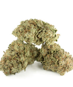 Green Crack