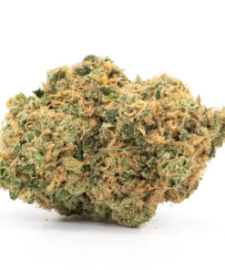 Hash Plant