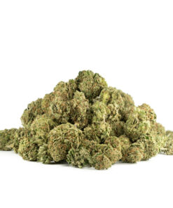 Hindu Kush