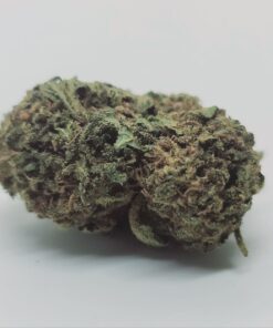 1oz Gelato Dream *Hybride* – Offre limitée