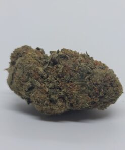 Blue Diesel – Hybrid OZ Special