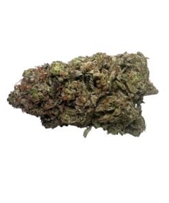 Pink Berry *Indica*