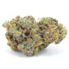 Gary Payton LSO-Indica