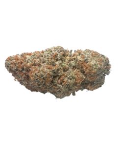 Gelato Mintz *Hybrid*