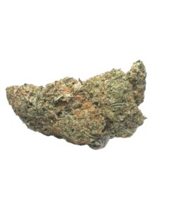 Veuve blanche *Sativa*