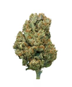 Gorilla Glue