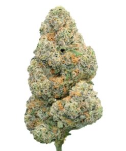 Cherry Kush