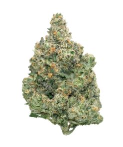 Tutti Fruity