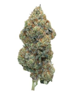 Octane OG