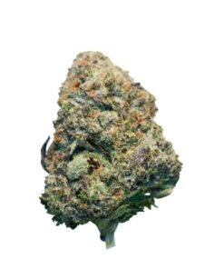 Pink Rockstar LSO