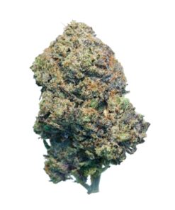 Purple Gorilla LSO