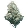 ASTROPINK Various Strains 7/14/28G