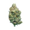 Death Star *Indica*