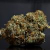 White Death LSO-Indica