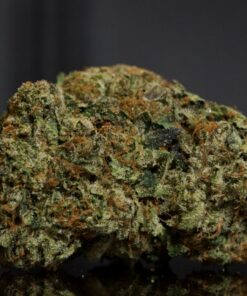 Goudron de Pin LSO-Indica