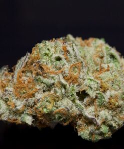 Tropical Punch-Sativa
