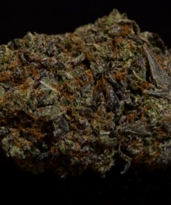 Arctic Purple-Indica